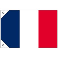 画像1: 国旗 ミニサイズ フランス (販促用) No.23673 (1)