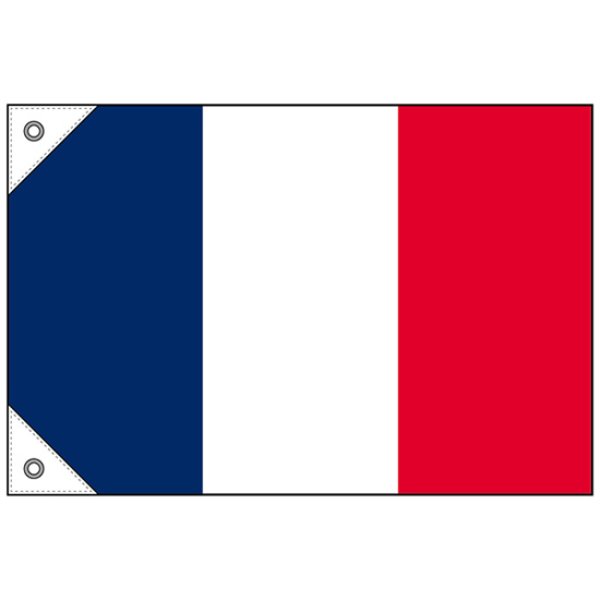 画像1: 国旗 ミニサイズ フランス (販促用) No.23673 (1)