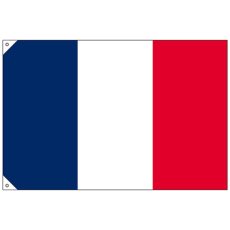画像1: 国旗 小サイズ フランス (販促用) No.23674 (1)