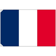 画像1: 国旗 大サイズ フランス (販促用) No.23675 (1)