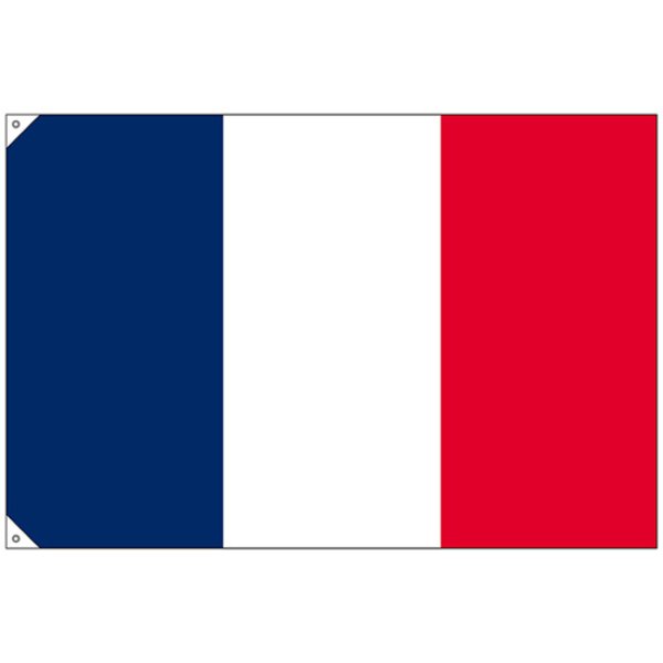 画像1: 国旗 大サイズ フランス (販促用) No.23675 (1)