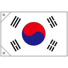 画像1: 国旗 ミニサイズ 韓国 (販促用) No.23691 (1)
