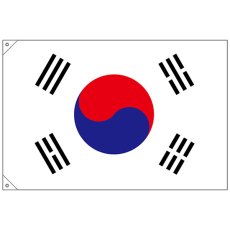画像1: 国旗 小サイズ 韓国 (販促用) No.23692 (1)