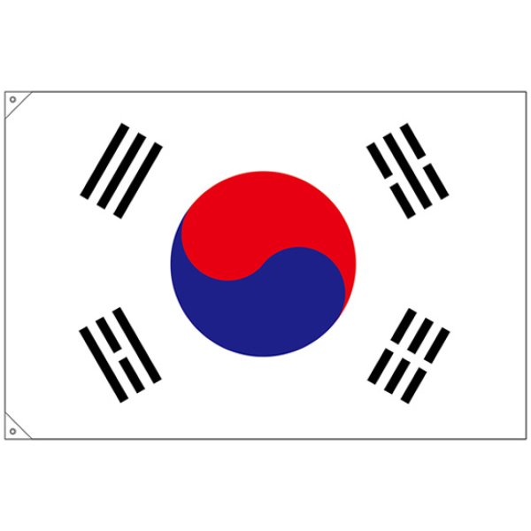 画像1: 国旗 大サイズ 韓国 (販促用) No.23693 (1)