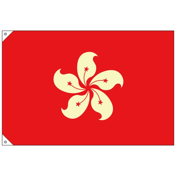 画像1: 国旗 小サイズ 香港 (販促用) No.23698 (1)