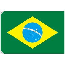 画像1: 国旗 大サイズ ブラジル (販促用) No.23738 (1)