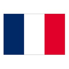 画像1: ビッグフラッグ（小） 国旗 フランス （販促用） No.54444 (1)