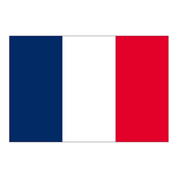 画像1: ビッグフラッグ（小） 国旗 フランス （販促用） No.54444 (1)