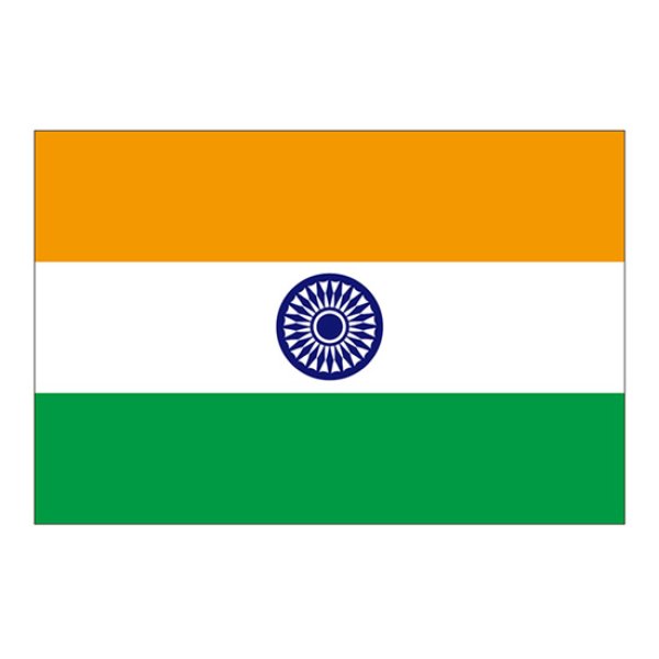 画像1: ビッグフラッグ（小） 国旗 インド （販促用） No.54445 (1)