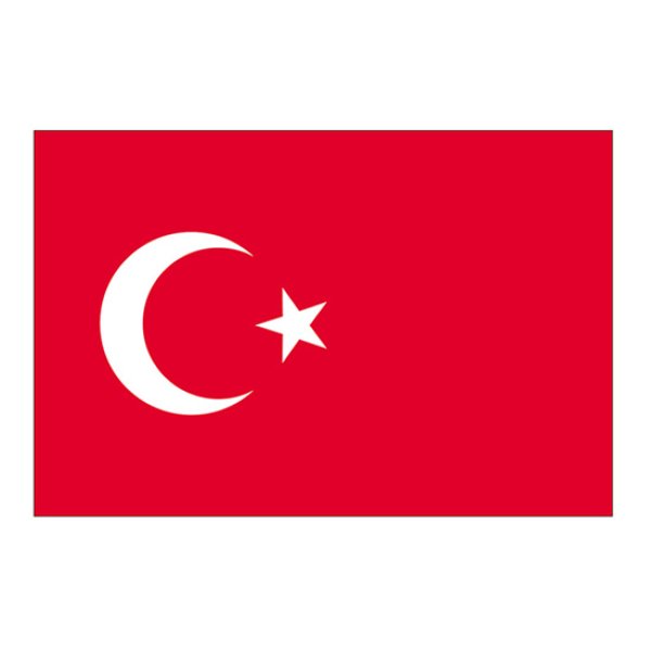 画像1: ビッグフラッグ（小） 国旗 トルコ （販促用） No.54447 (1)