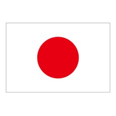 画像1: ビッグフラッグ（小） 国旗 日本 （販促用） No.54449 (1)