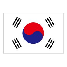 画像1: ビッグフラッグ（小） 国旗 韓国 （販促用） No.54450 (1)