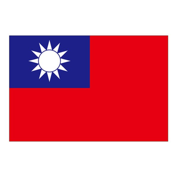 画像1: ビッグフラッグ（小） 国旗 台湾 （販促用） No.54453 (1)
