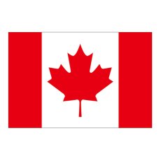画像1: ビッグフラッグ（小） 国旗 カナダ （販促用） No.54461 (1)