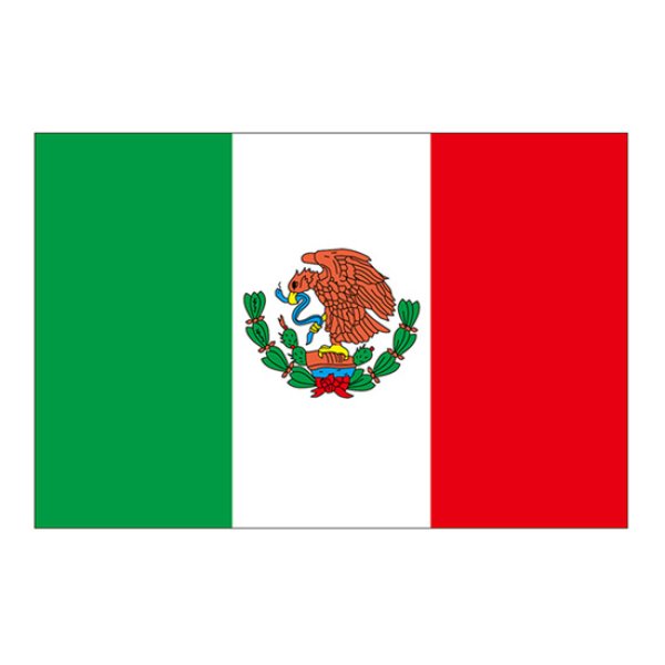 画像1: ビッグフラッグ（小） 国旗 メキシコ （販促用） No.54462 (1)