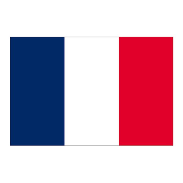 画像1: ビッグフラッグ（大） 国旗 フランス （販促用） No.54475 (1)
