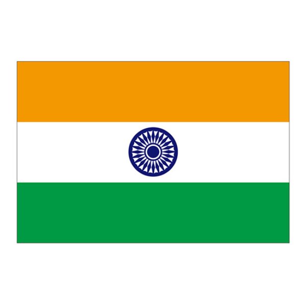 画像1: ビッグフラッグ（大） 国旗 インド （販促用） No.54476 (1)