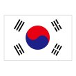 画像1: ビッグフラッグ（大） 国旗 韓国 （販促用） No.54481 (1)