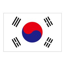 画像1: ビッグフラッグ(大) 国旗 韓国 (販促用) No.54481 (1)
