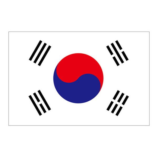 画像1: ビッグフラッグ（大） 国旗 韓国 （販促用） No.54481 (1)