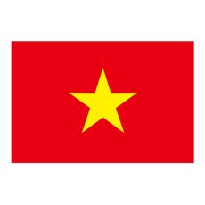 画像1: ビッグフラッグ(大) 国旗 ベトナム (販促用) No.54486 (1)