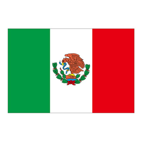 画像1: ビッグフラッグ（大） 国旗 メキシコ （販促用） No.54493 (1)