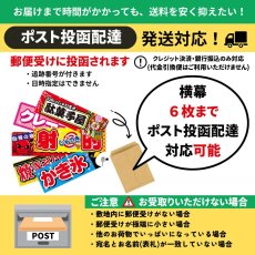 画像7: 横幕 フライドチキンバーガー FRIED CHICKEN BURGER （星条旗風） (7)