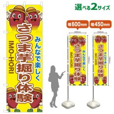 画像1: のぼり旗 さつま芋堀り体験 (1)