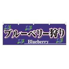 画像1: 横幕 ブルーベリー狩り (1)