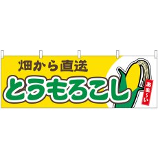 画像1: 横幕 54882 とうもろこし 畑から直送黄 (1)
