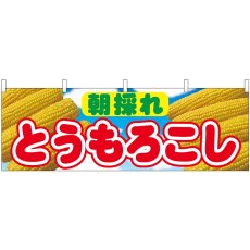画像1: 横幕 54893 とうもろこし 朝採れ  (1)