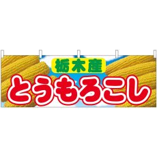 画像1: 横幕 54897 とうもろこし 栃木産  (1)