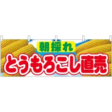 画像1: 横幕 54906 とうもろこし直売 朝採れ  (1)