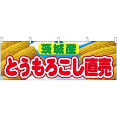 画像1: 横幕 54909 とうもろこし直売 茨城産  (1)