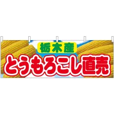 画像1: 横幕 54910 とうもろこし直売 栃木産  (1)